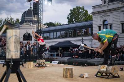 Timbersports_WT26_Strubel_AA_7585.jpg