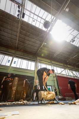 Timbersports_WT2023_Martin_DA_0683.jpg
