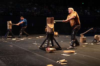 STIHL CAIRNS 225.jpg