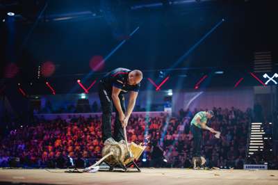 Timbersports_WCH2022_Puybaret_AA_7234.jpg