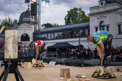 Timbersports_WT26_Strubel_AA_7632.jpg