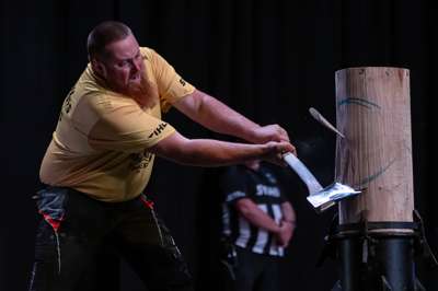 STIHL CAIRNS 317.jpg