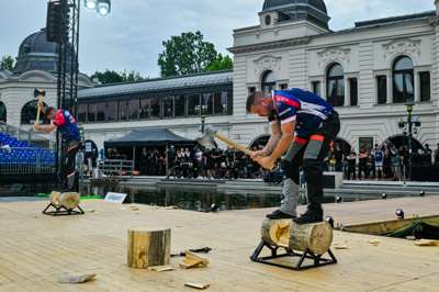 Timbersports_WT26_Cogar_MS_8944.jpg