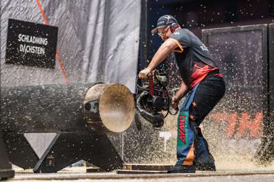 TIMB_Martin_HotSaw_GER.jpg