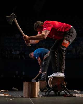 STIHL CAIRNS 282.jpg