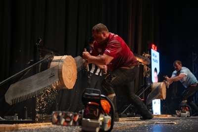 STIHL CAIRNS 241.jpg