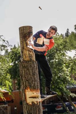 TIMBERSPORTS_FORD_RANGER_CUP_STRIEWE_SPRINGBOARD.jpg